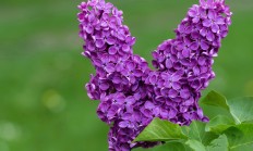 开云体育下载-巴尔韦德爆发，拜仁火力压制那不勒斯，一场战术与意志的较量