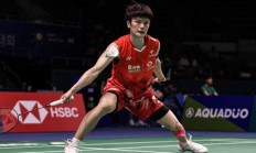 开云体育官方网站-包含丹麦队轻取日本队，辛杜高光表现的词条