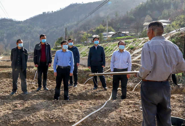 南宁队合力攻坚,迅速抢占领先优势的简单介绍 南宁队合力攻坚,迅速抢占领先优势的简单介绍